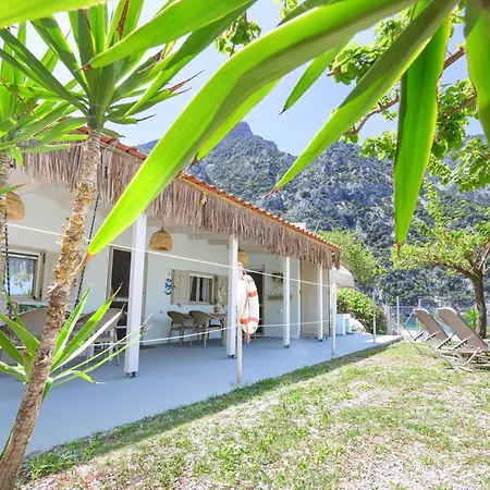 Thapsa House *